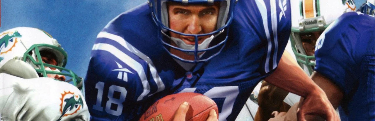 NFL Fever 2003