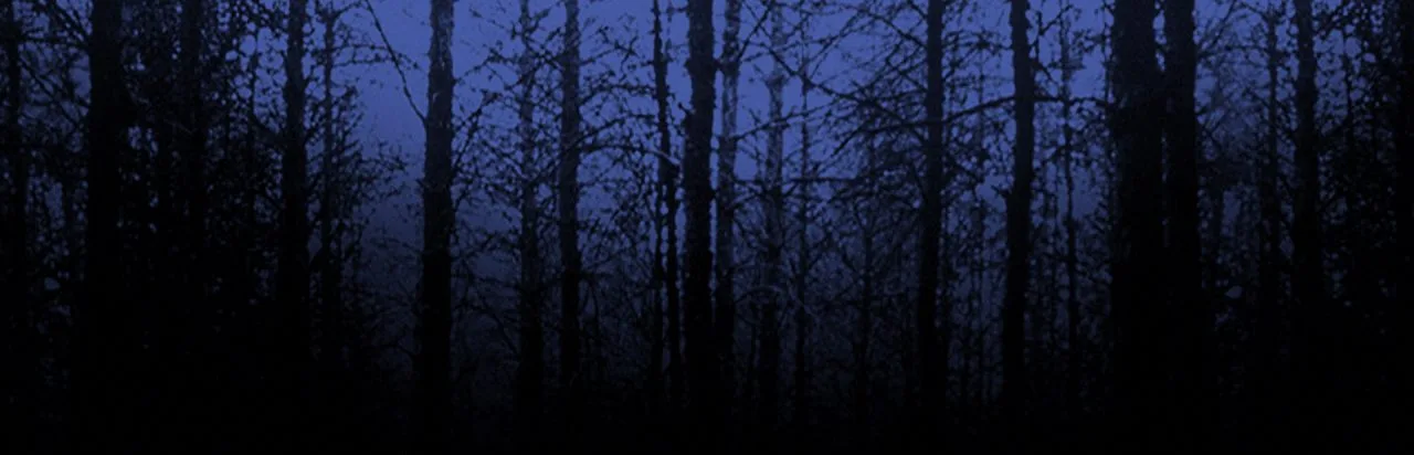 Blair Witch Project: Episode 2 - The Legend of Coffin Rock