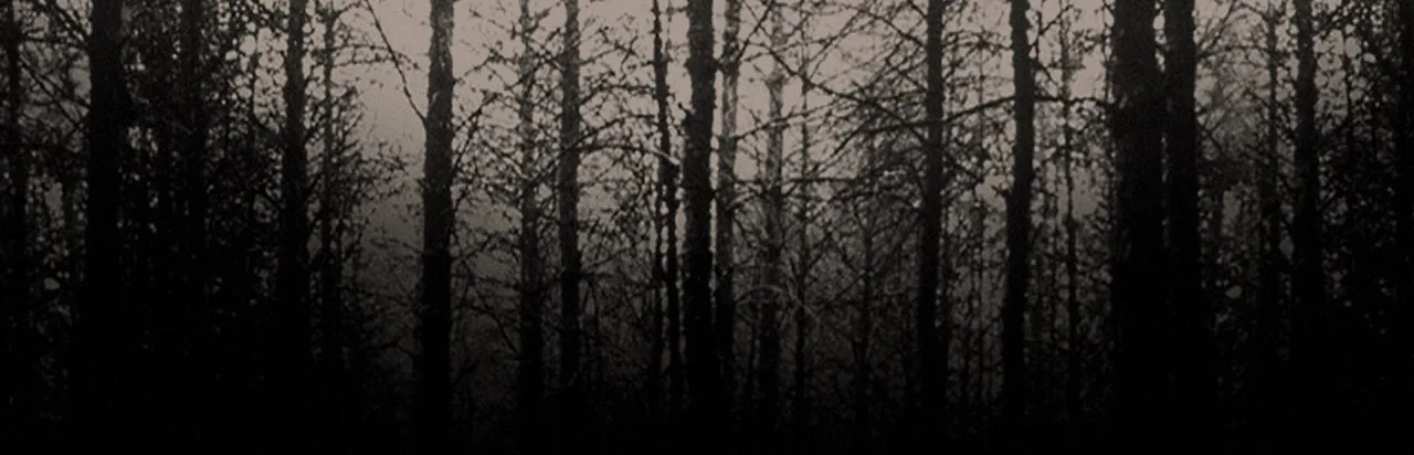 Blair Witch Project: Episode 3 - Elly Kedward Tale