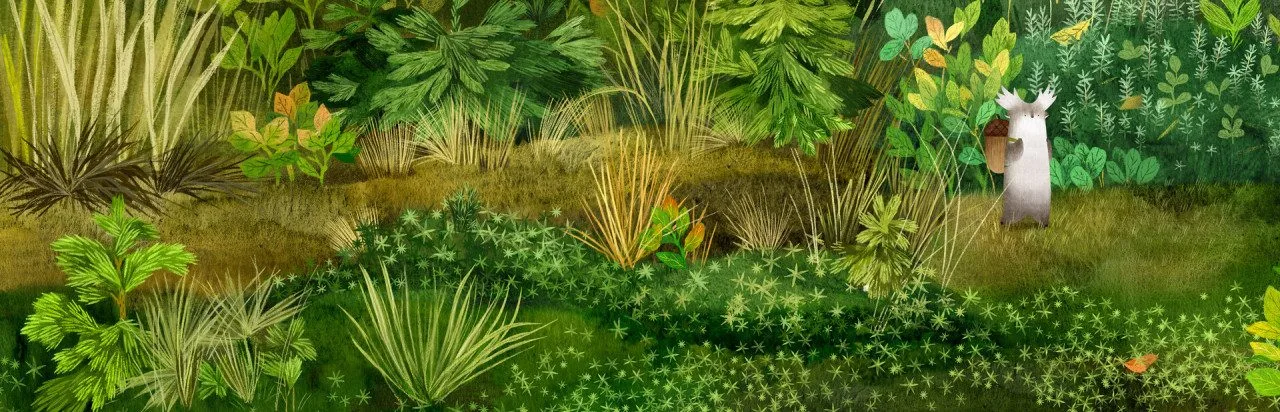 Tukoni: Forest Keepers