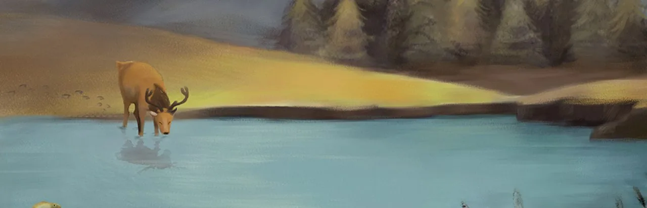The Deer
