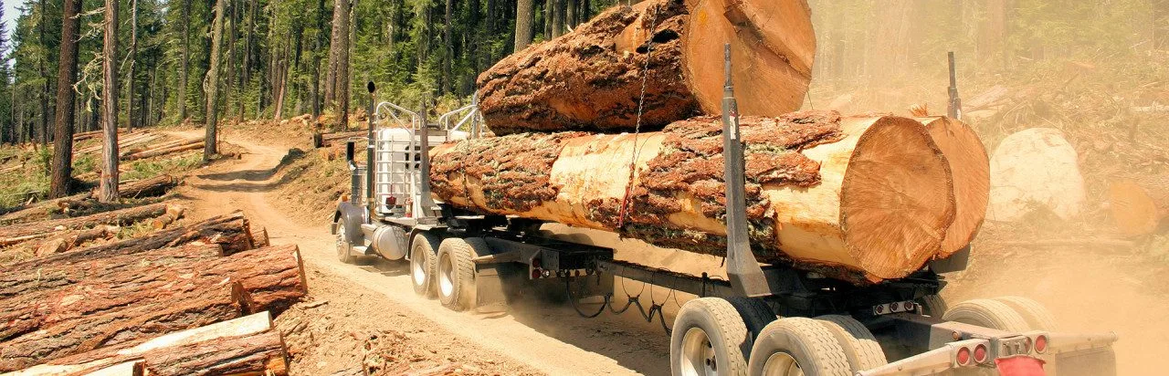 Woodcutter Simulator 2013