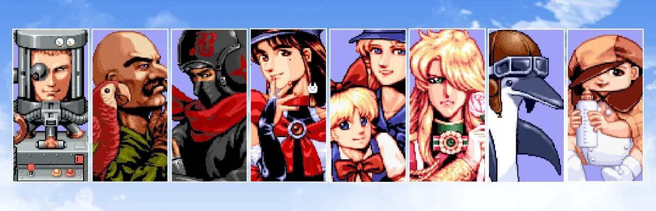 Aero Fighters 2