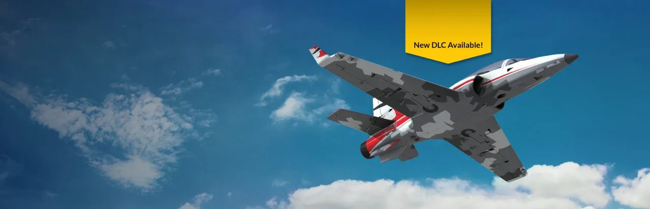 RealFlight Evolution