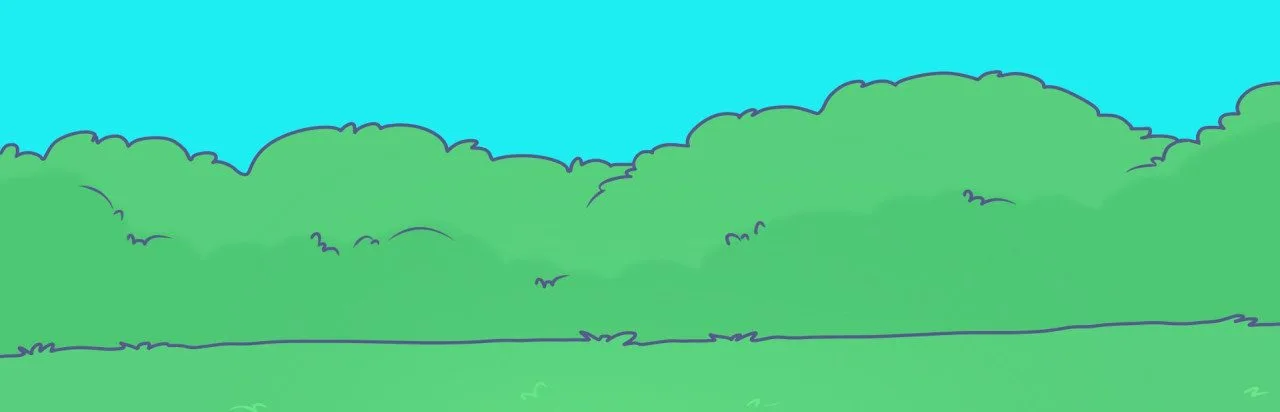A Shelter Full of Cats