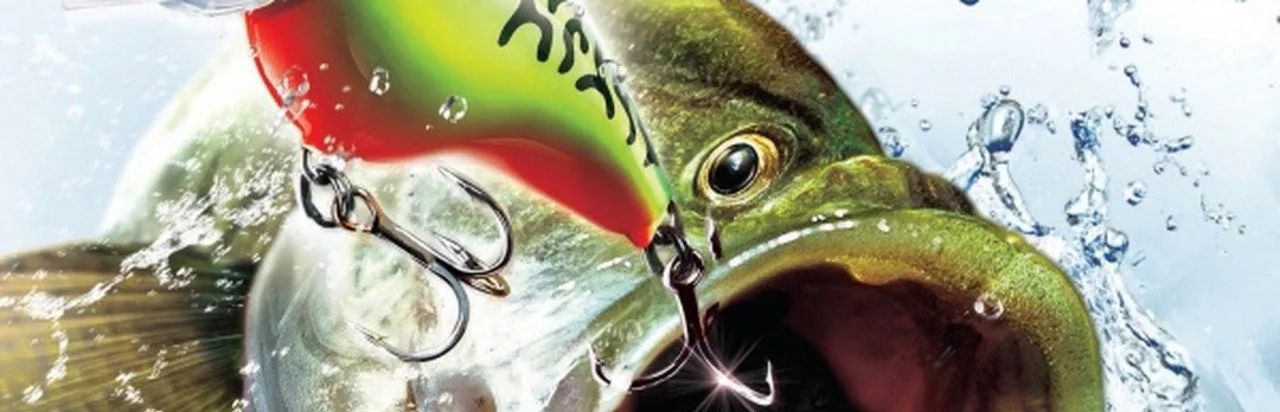 Rapala Pro Bass Fishing (2012)