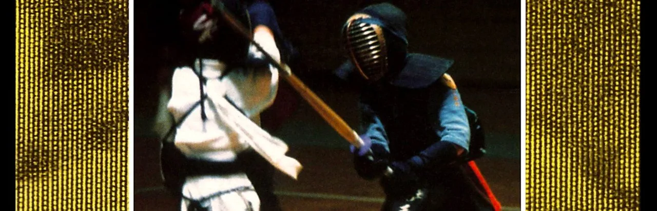 Budokan: The Martial Spirit