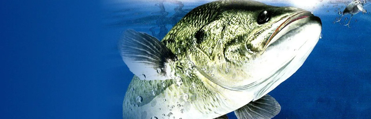 SEGA Bass Fishing 2