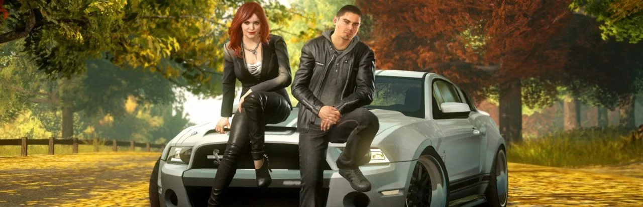 Need for Speed: The Run (3DS/WII)