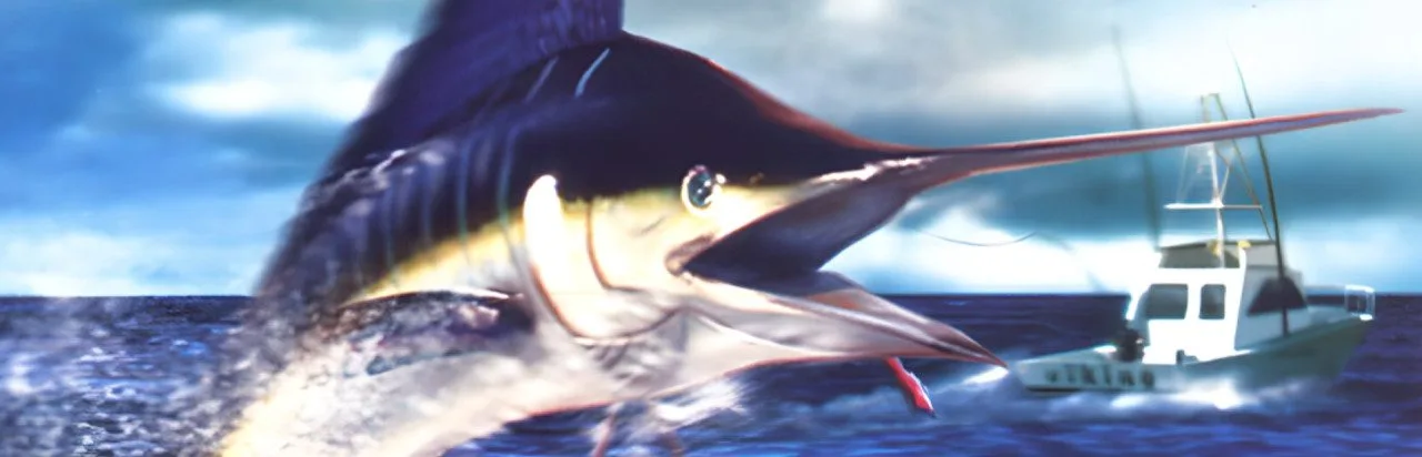 Saltwater Sportfishing