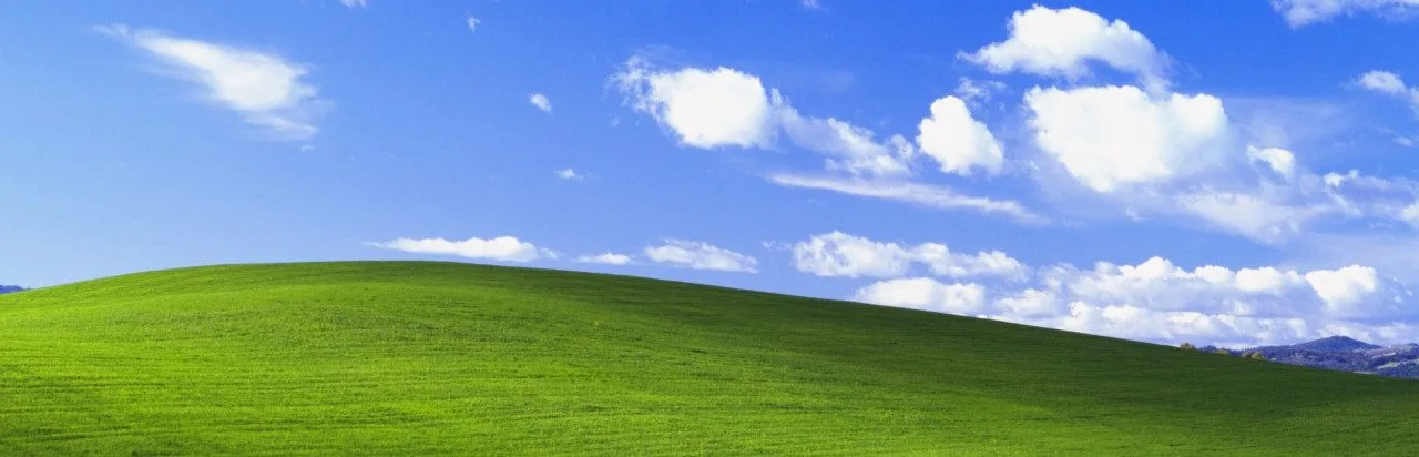 Desktop Survivors 98
