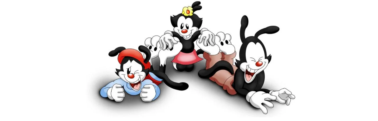 Animaniacs Splat Ball