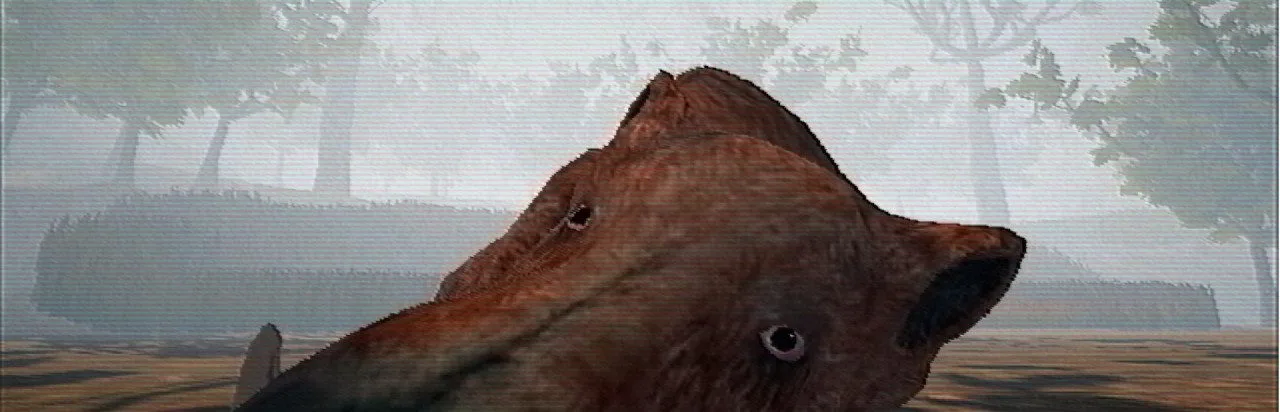 Hog Hunter 2021