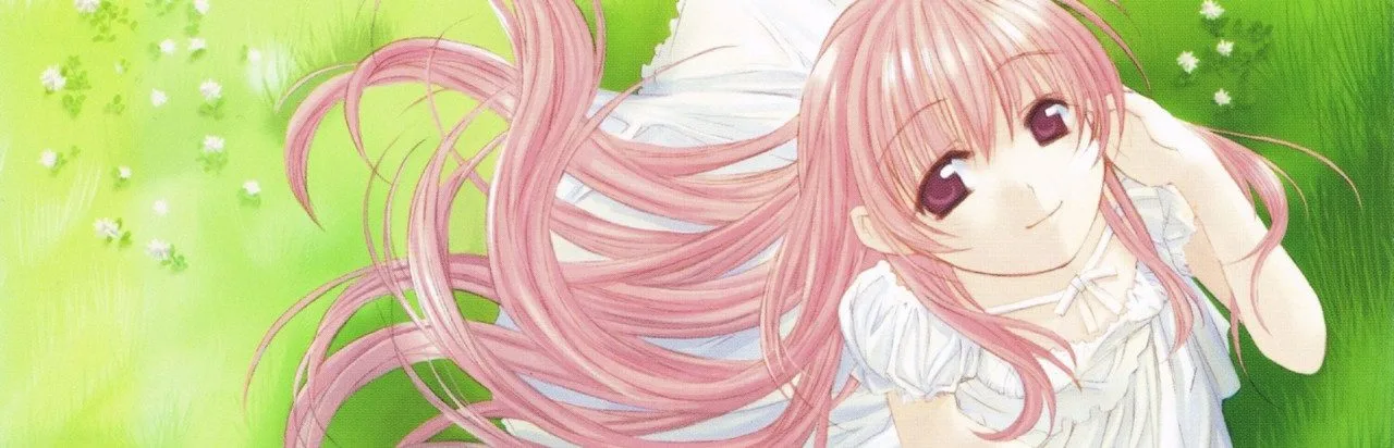 Yume no Tsubasa: Fate of Heart