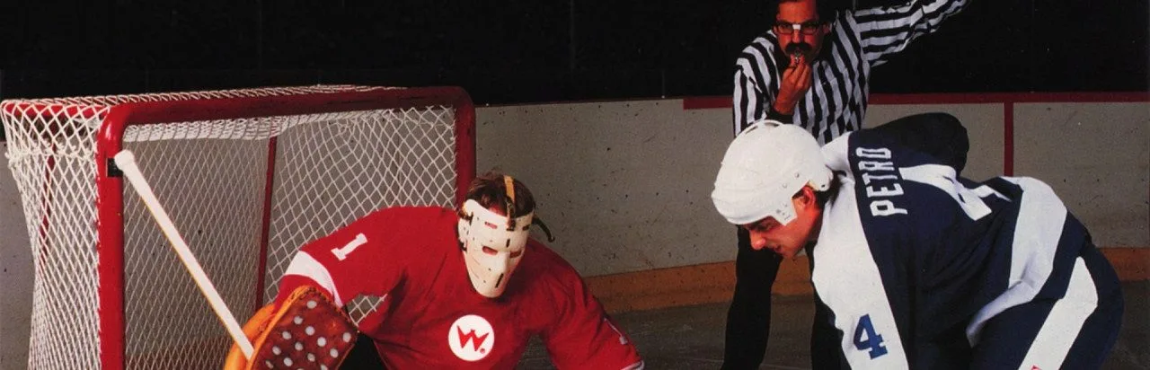 Hit the Ice: The Video Hockey League