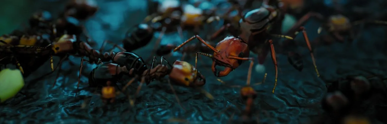 Empires of the Undergrowth - Exploding Ants DLC