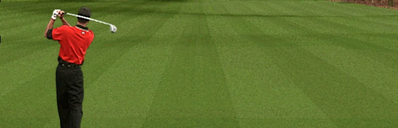 Tiger Woods PGA Tour 2001 (PC)