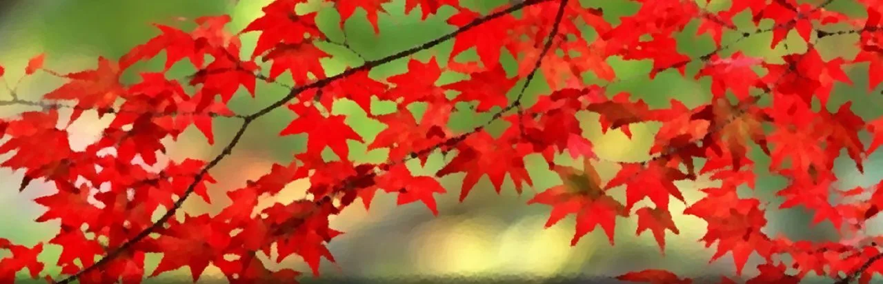 Autumn