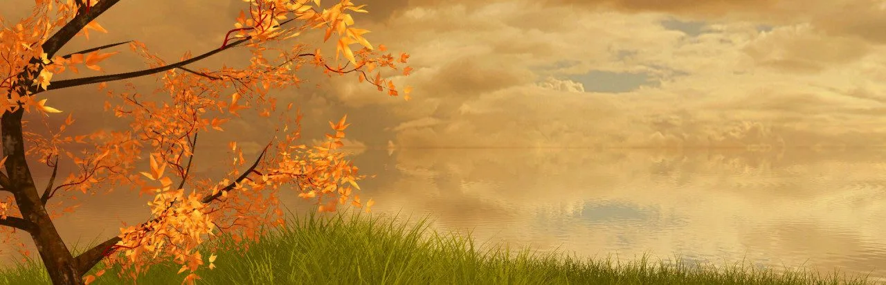 The Lonely Tree