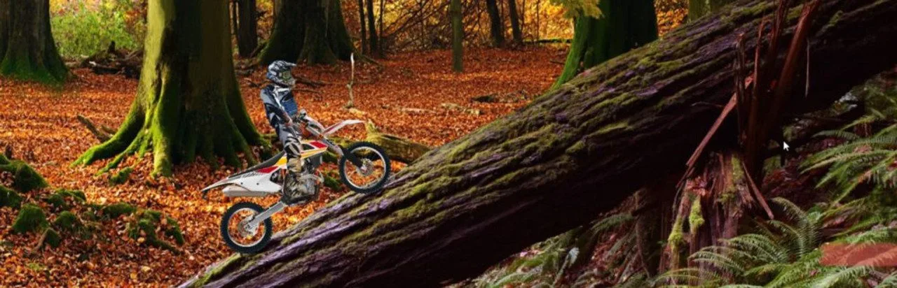 World Enduro Rally