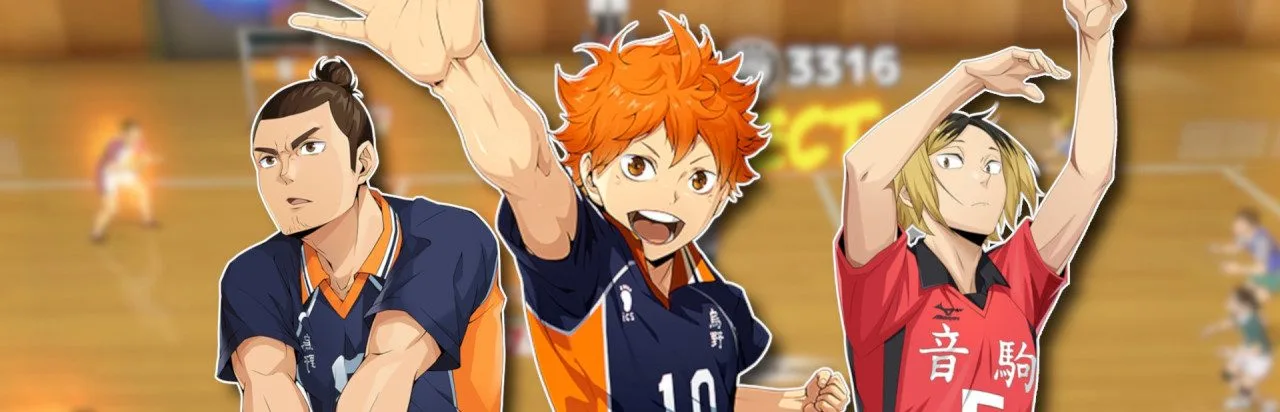 HAIKYU!! FLY HIGH