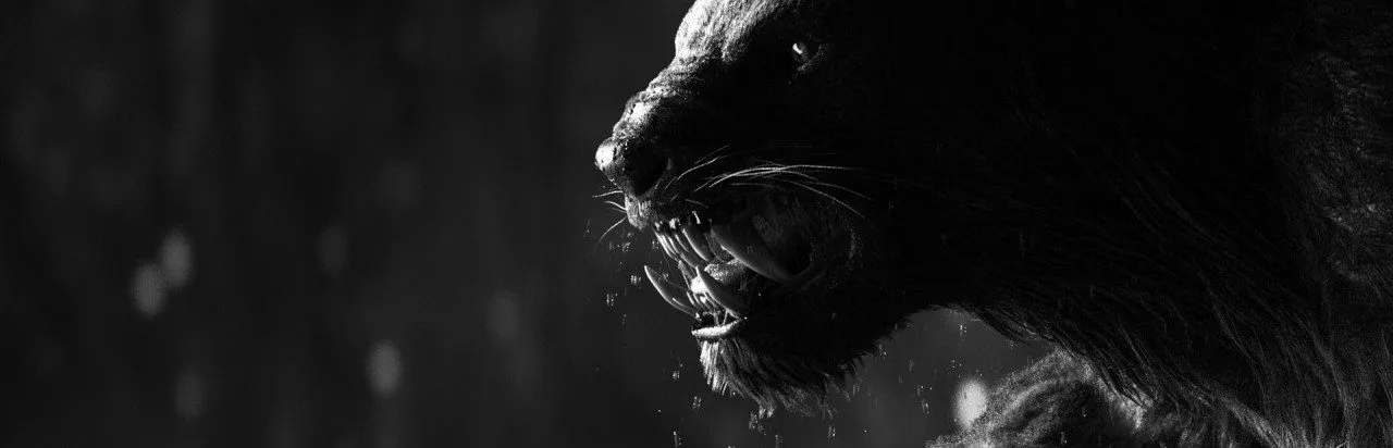Wild Life