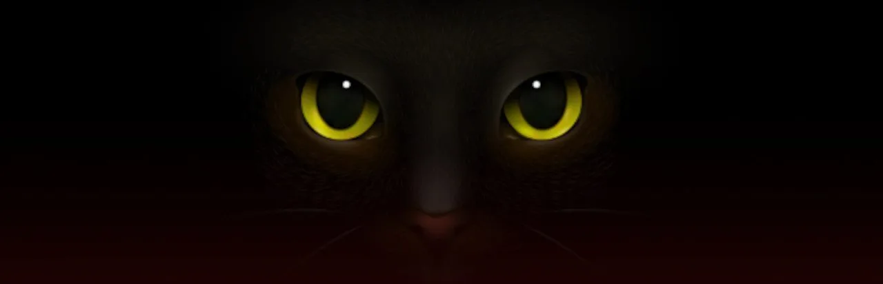 Marcella Moon: Curse of the Black Cat