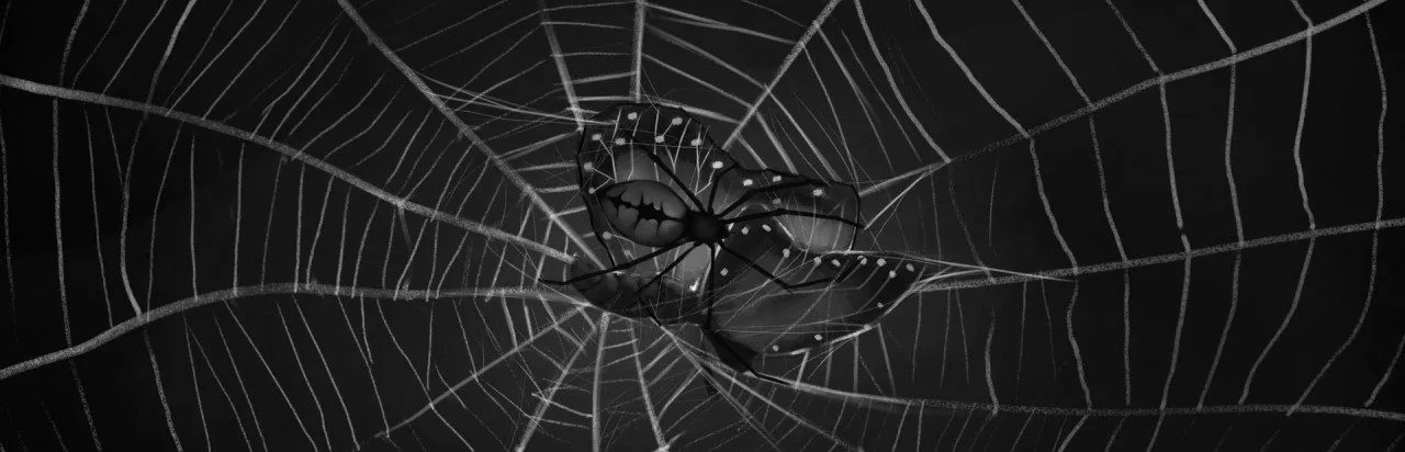 Paramnesia