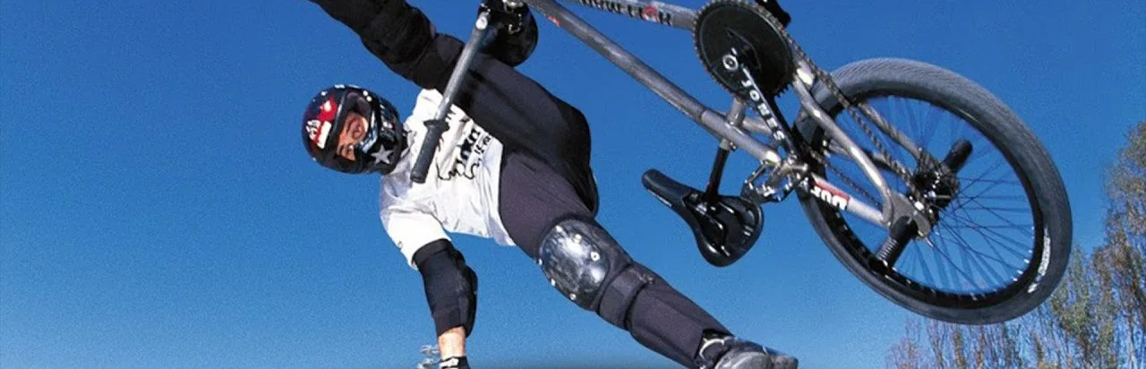 Mat Hoffman's Pro BMX 2