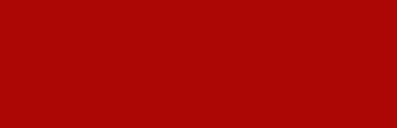 RUSSIA BATTLEGROUNDS