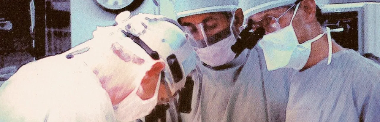 Virtual Surgeon: Open Heart