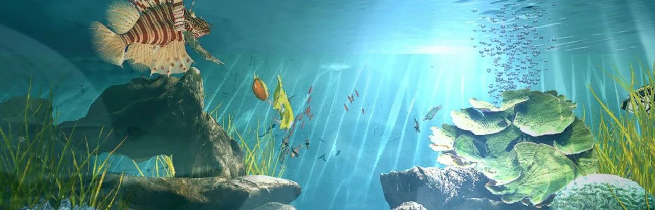 Aquatopia