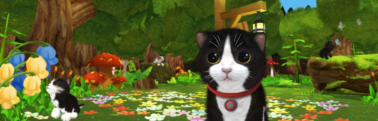 Konrad's Kittens