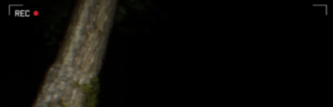 Inside (2025)