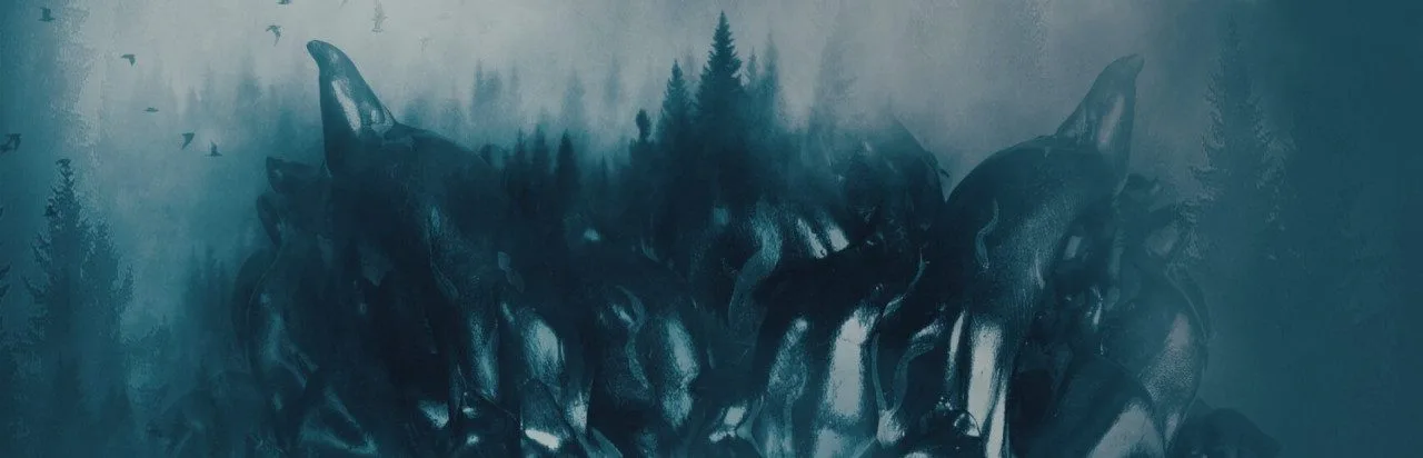 The Run