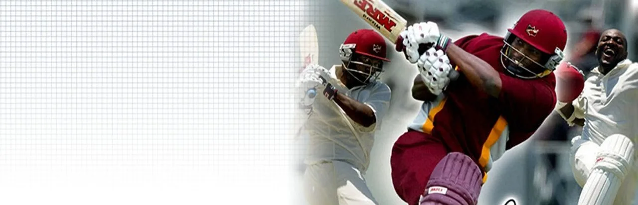 Brian Lara International Cricket 2005