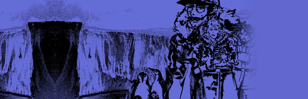 Penguin Colony