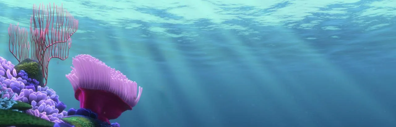 Finding Nemo
