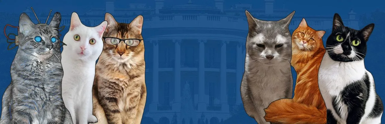 Cat President 2: Purrlitical Revolution