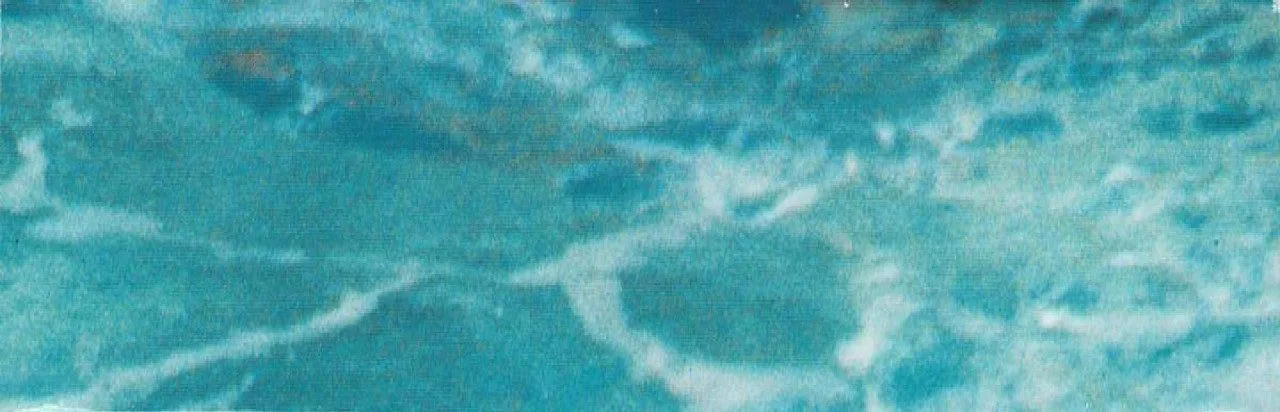 Championship Surfer