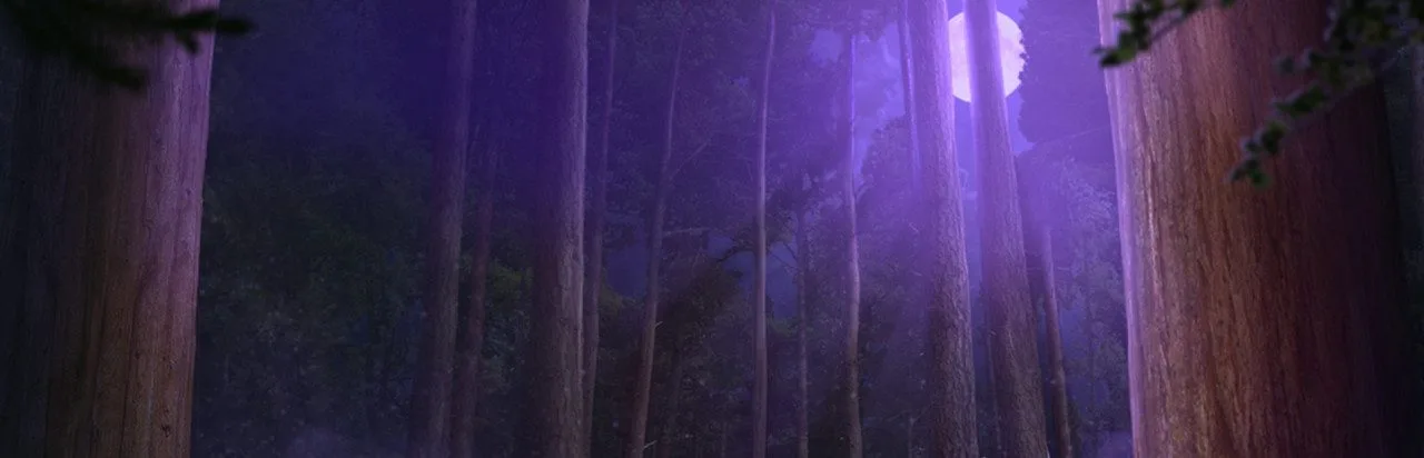 Edge of Reality: Lost Secrets of the Forest
