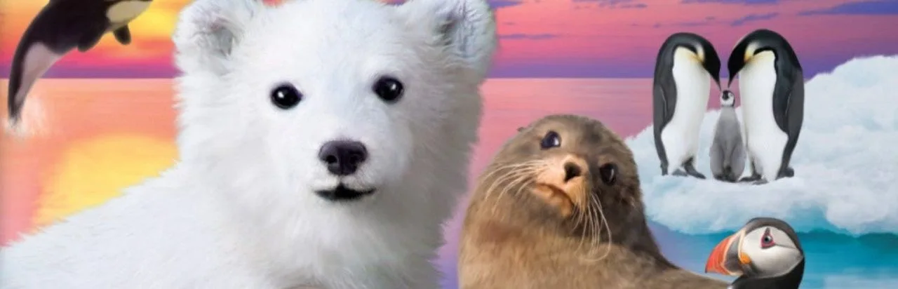 Paws & Claws: Marine Rescue