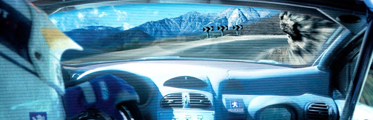 V-Rally 3