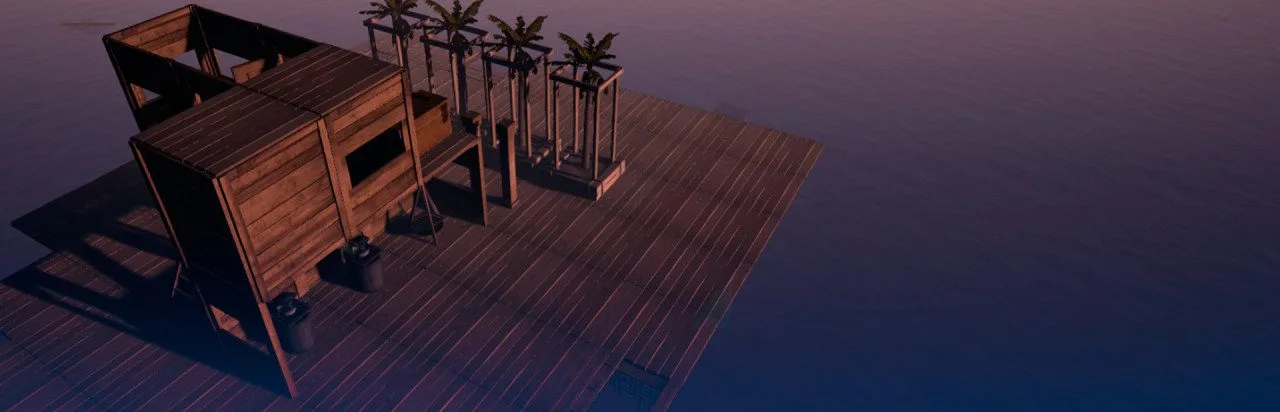 Survive on Raft