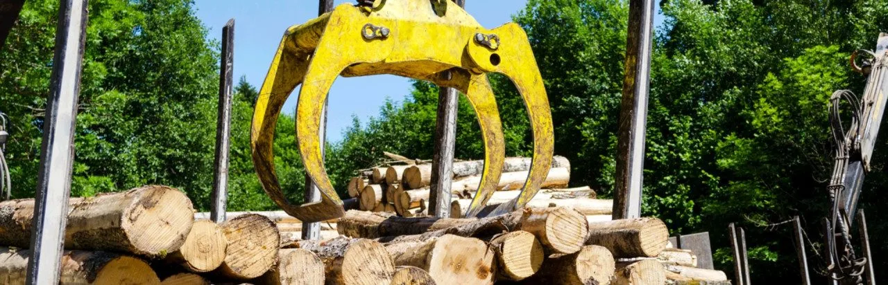 Timber! The Logging Experts