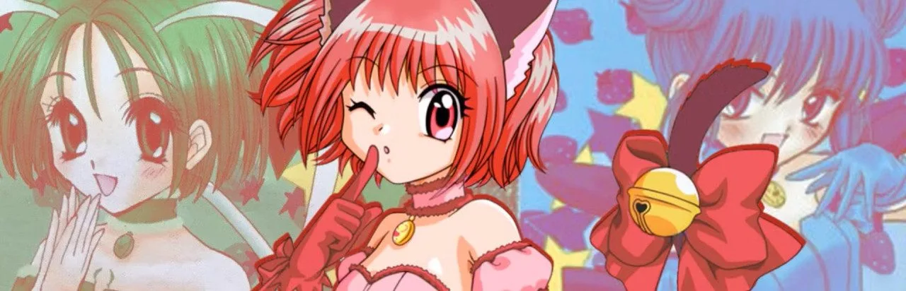Hamepane Tokyo Mew Mew