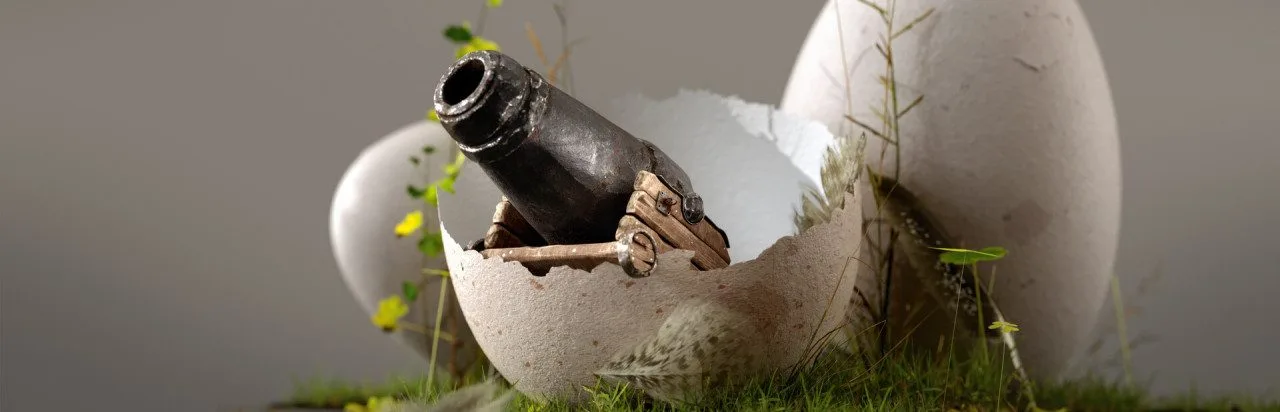 About Cannons & Sparrows