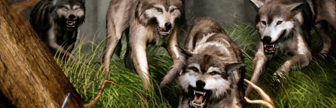 Cabela's Dangerous Hunts 2