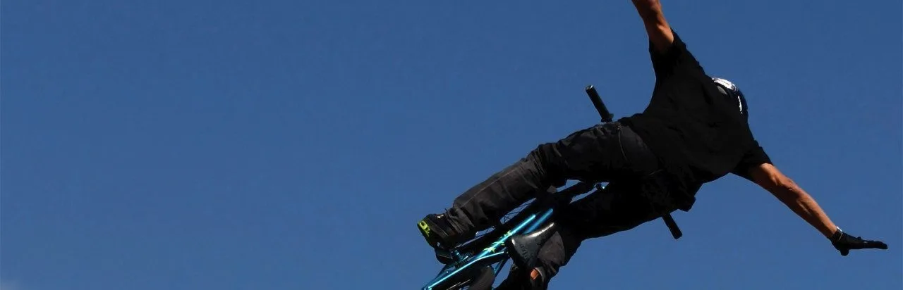 Dave Mirra Freestyle BMX