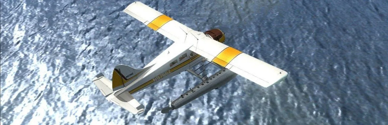 Microsoft Flight Simulator X: Acceleration